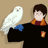  Harry Potter 